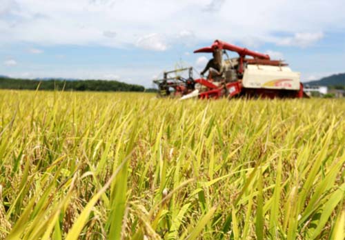 新时期推进质量兴农的行动指南