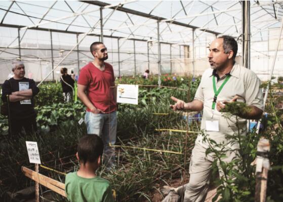 四大技术成就以色列农业“神话”