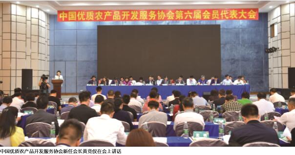 品牌强农 梦想启航 ——访雷速体育新任会长黄竞仪